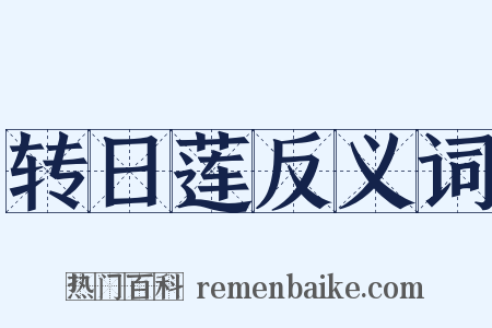 转日莲反义词是什么意思的图片
